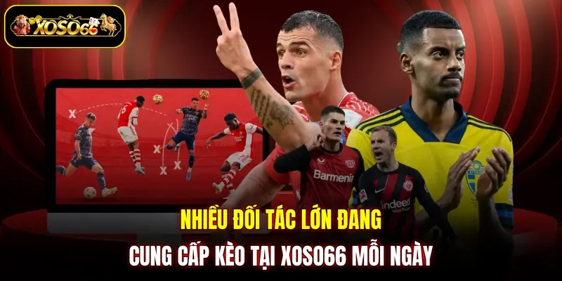 Nhiều đối tác lớn đang cung cấp kèo tại XOSO66 mỗi ngày