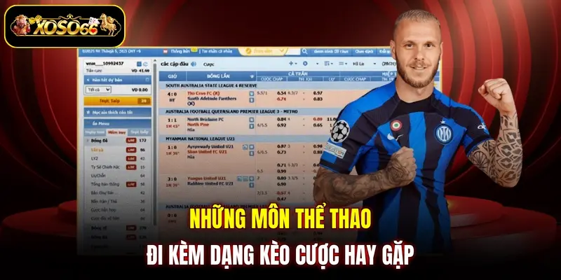 Những môn thể thao đi kèm dạng kèo cược hay gặp
